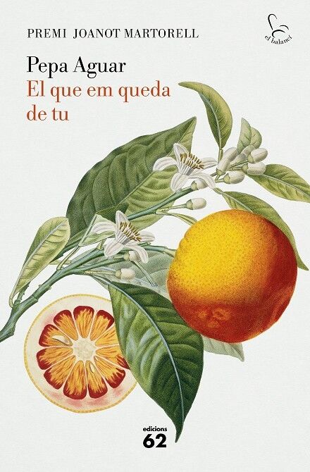El Que Em Queda de Tu