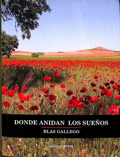 Donde Anidan los Sueños