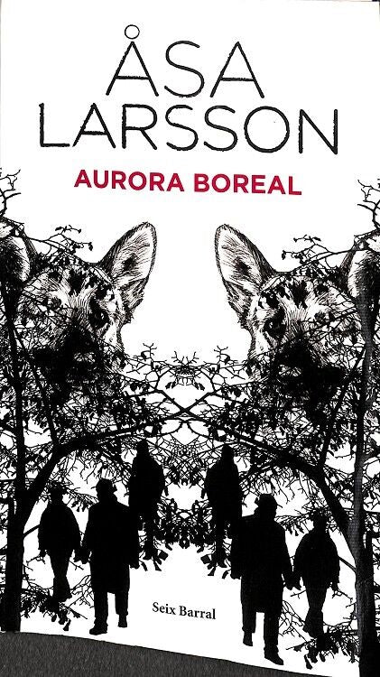 Aurora Boreal