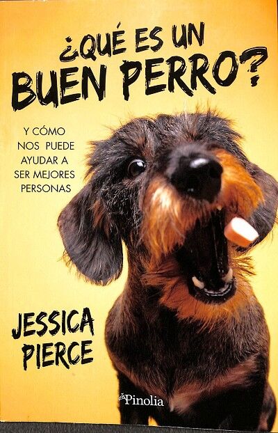 ¿Qué Es un Buen Perro?