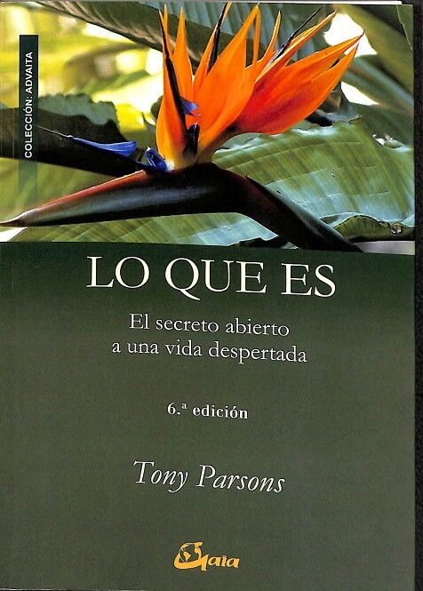 Lo Que Es