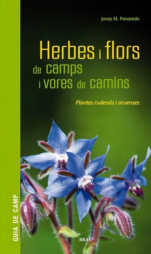 Herbes i Flors de Camps i Vores de Camins