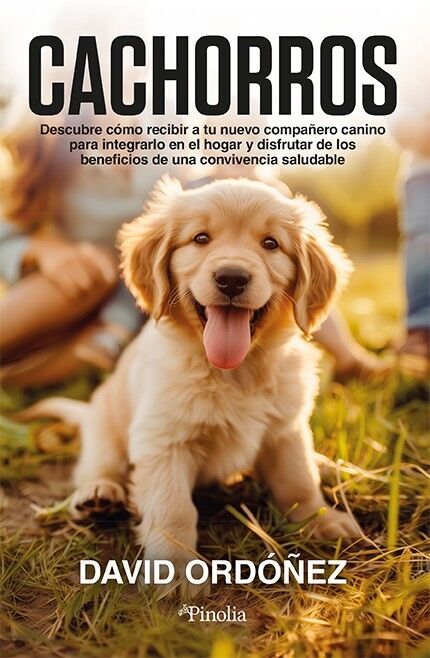 Cachorros Descubre Cómo Recibir a Tu Nuevo Compañero Canino para Integrarlo en el Hogar