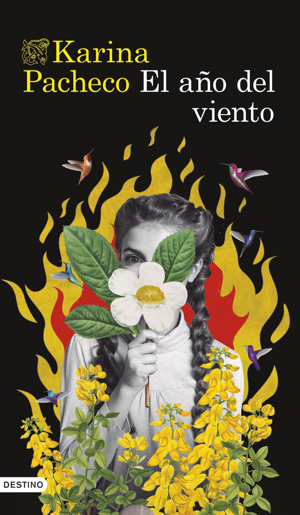 El Año del Viento