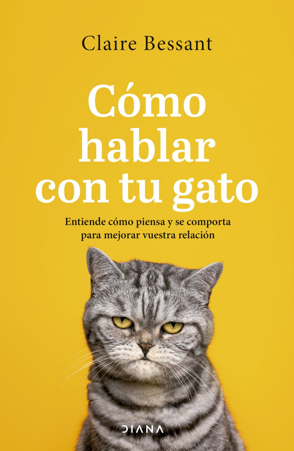 Cómo Hablar con Tu Gato