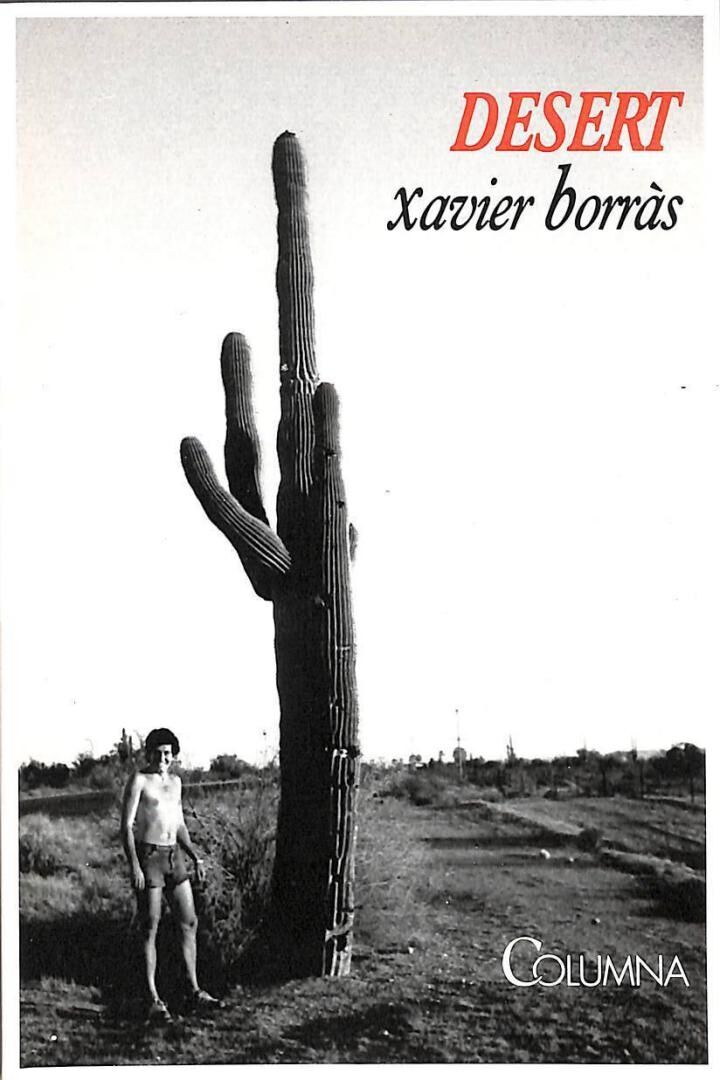 Desert .