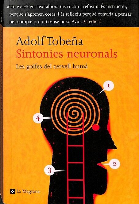 Sintonies Neuronals