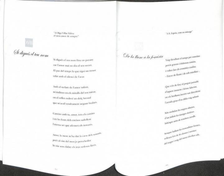 Dibuixos i Poemes .