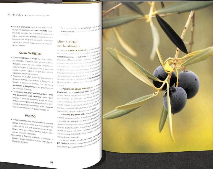 Els Olis d'Oliva en la Gastronomia del Segle XXI