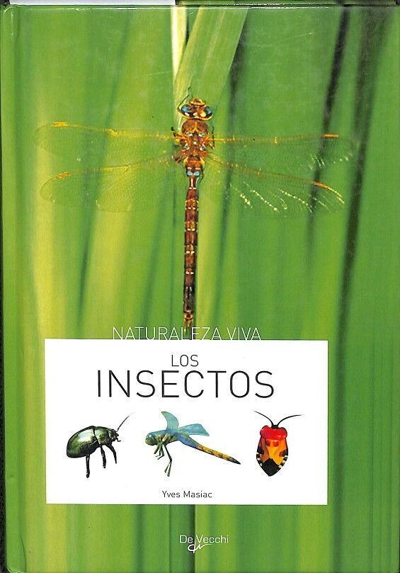 Los Insectos