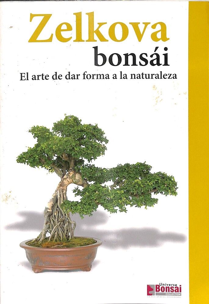 Zelkova Bonsái - el Arte de Dar Forma a la Naturaleza