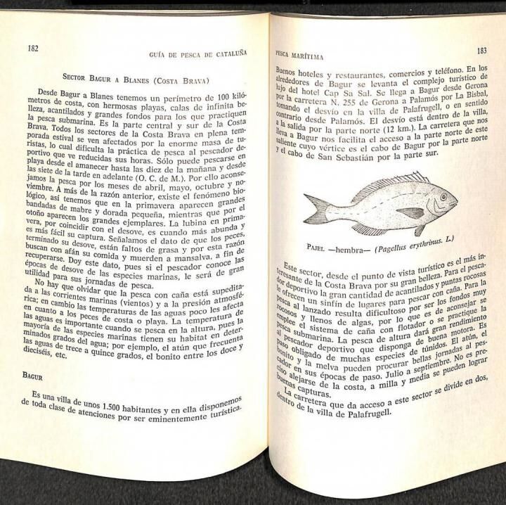 Guía de Pesca de Cataluña