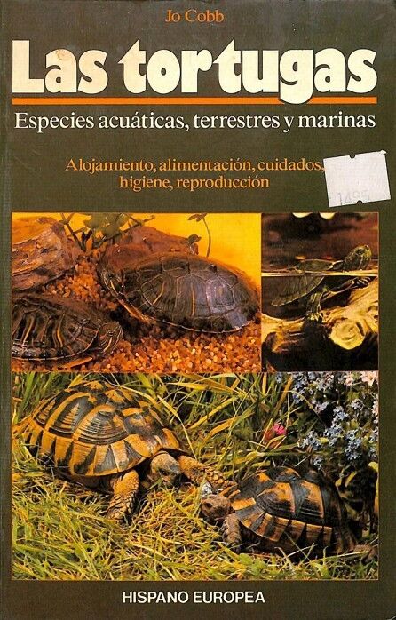 Las Tortugas: Especies Acuáticas, Terrestres y Marinas