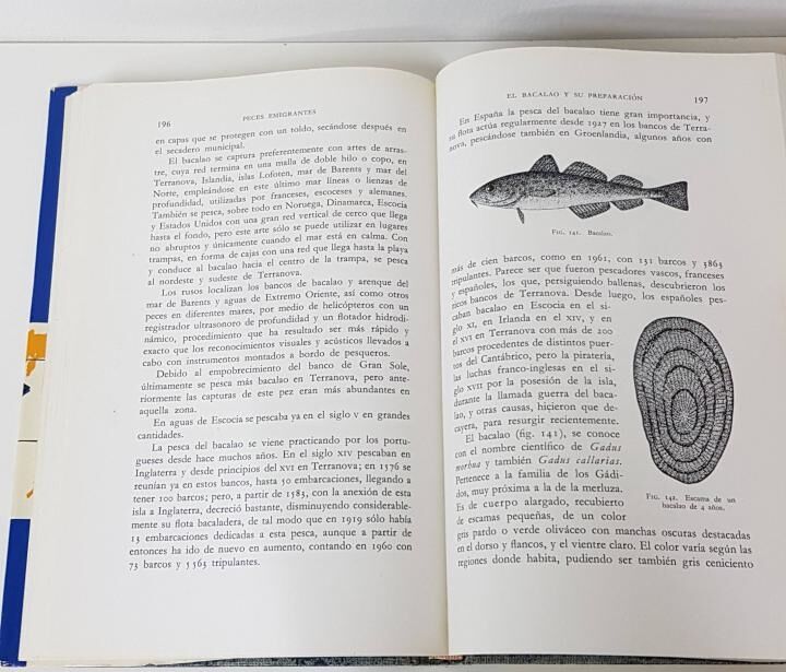 Peces Emigrantes .