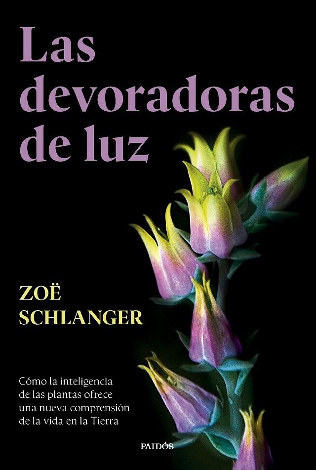 Las Devoradoras de Luz