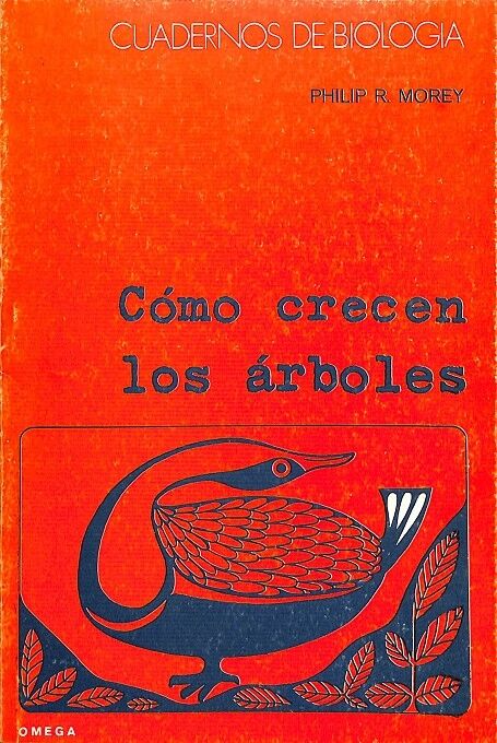 Cómo Crecen los Arboles