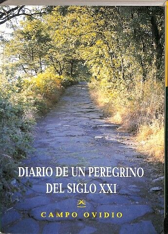 Diario de un Peregrino del Siglo XXI