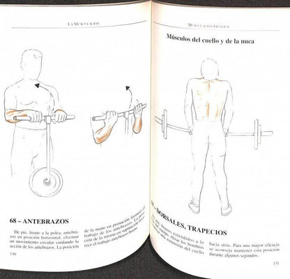 Musculación para Todos los Deportistas