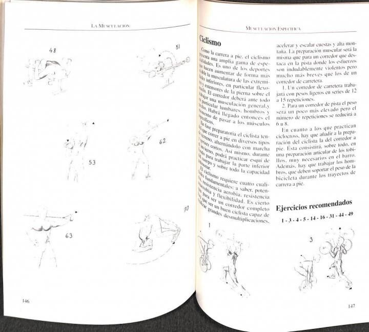 Musculación para Todos los Deportistas