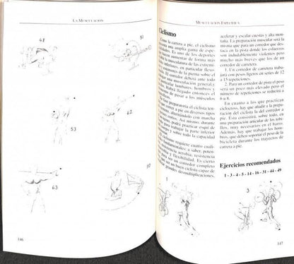 Musculación para Todos los Deportistas