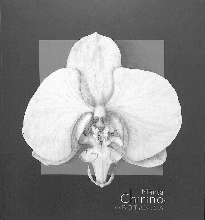 Marta Chirino - de Botánica