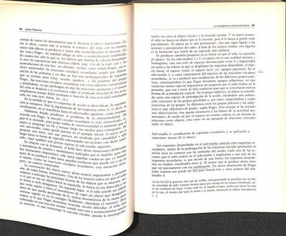 Psicología Evolutiva 2 Desarrollo Cognitivo y Social del Niño