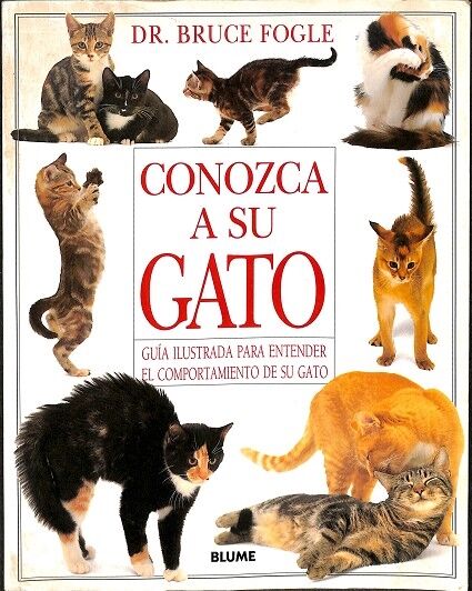 Conozca a Su Gato