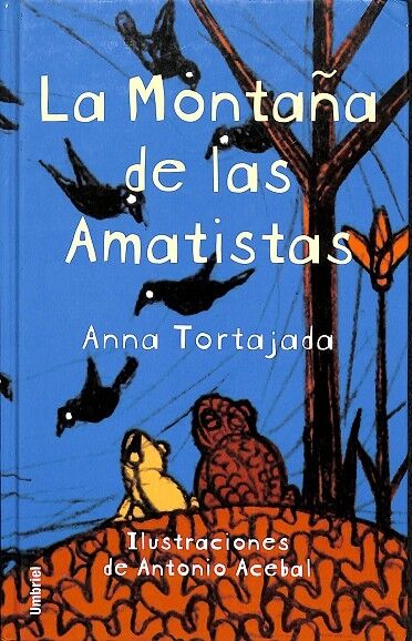 La Montaña de las Amatistas
