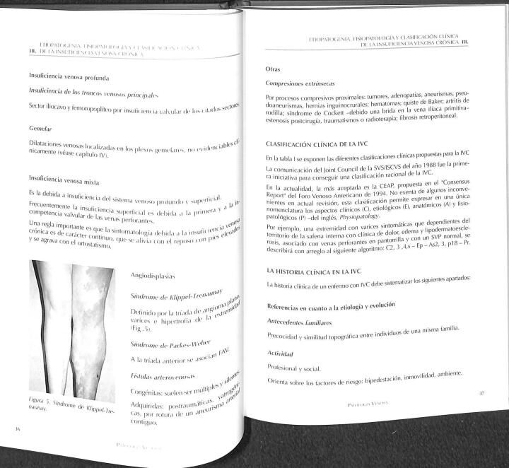 Patología Venosa: Guía de Diagnóstico y Tratamiento del Capítulo Español de Flebología de la Sociedad Española de Angiología y Cirugía Vascular