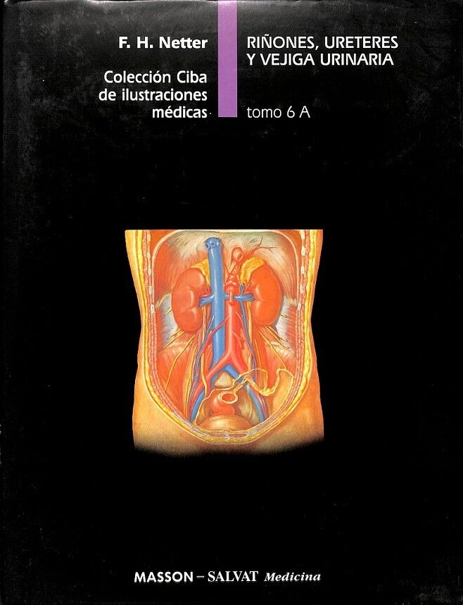 Riñones Uréteres y Vejiga Urinaria Tomo 6 a