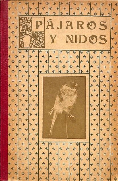 Pájaros y Nidos