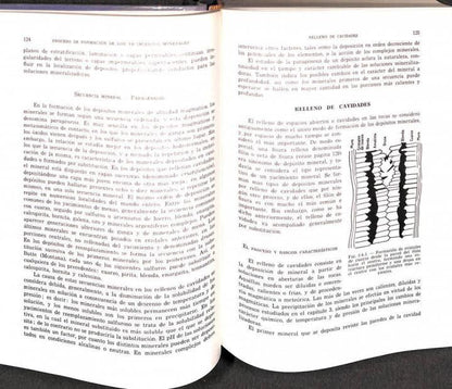 Principios de Geoquímica / Yacimientos Minerales de Rendimiento Económico (1ª Edición)