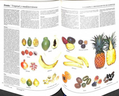 Libro de Cocina. Cómo Elegir, Preparar, Cocinar y Servir Buenos Alimentos