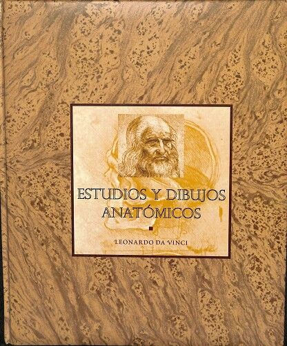 Estudios y Dibujos Anatómicos
