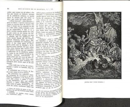 Don Quijote de la Mancha. el Ingenioso Hidalgo