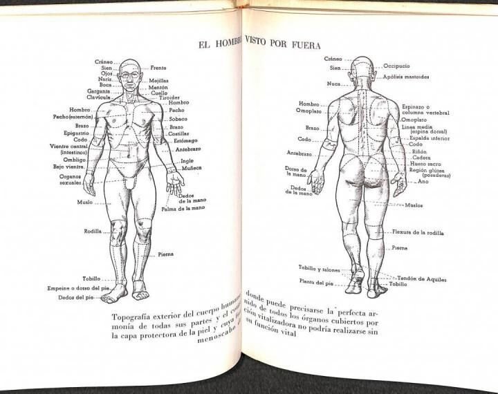Anatomia y Fisiologia