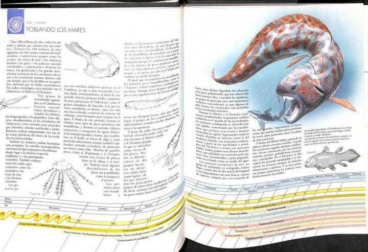 Atlas de la Evolución: Desde un Comienzo Tan Sencillo