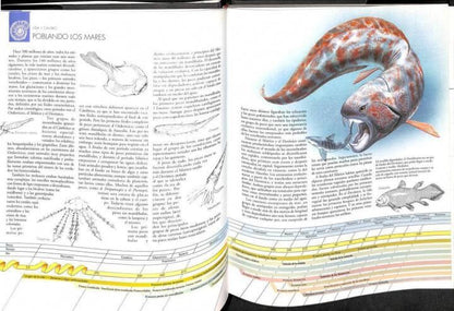 Atlas de la Evolución: Desde un Comienzo Tan Sencillo