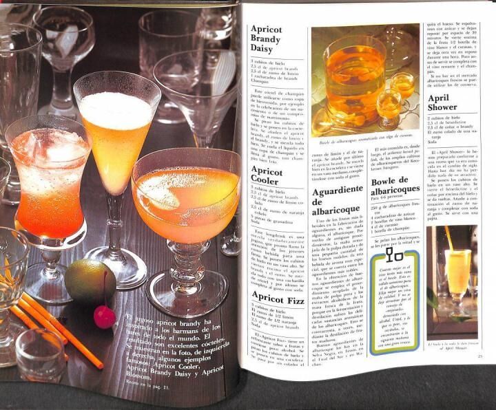 Bebidas Famosas del Mundo.... Cócteles, Batidos, Vinos y Licores, Bebidas Calientes, Ponches, Bebidas Sin Alcohol, Longdrinks...
