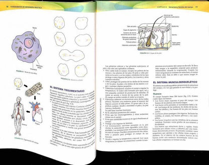 Fundamentos de Enfermería Práctica + CD