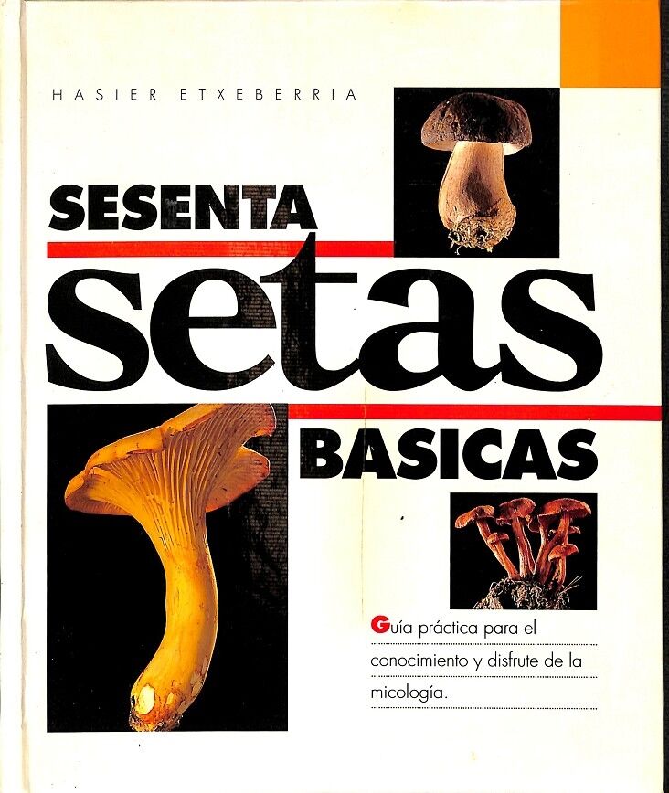 Sesenta Setas Basicas