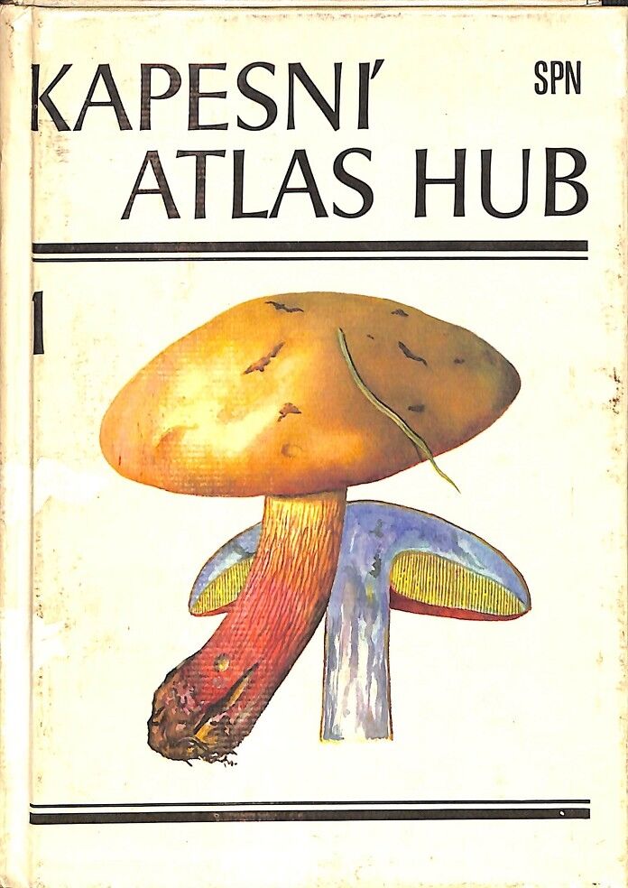 Kapesni' Atlas Hub (Checo)