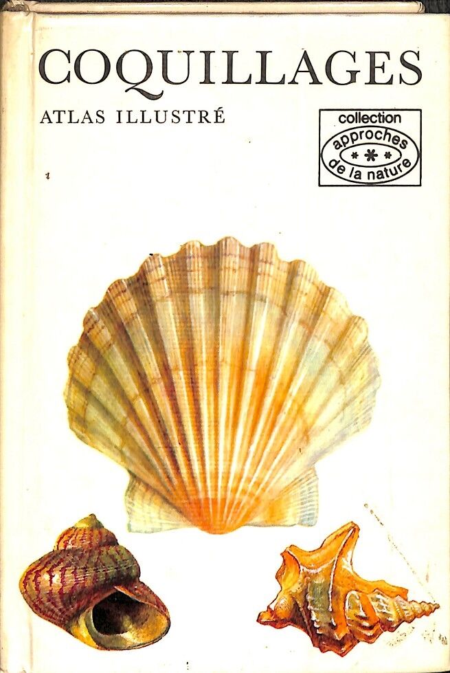 Coquillages Atlas Illustré (Françes)