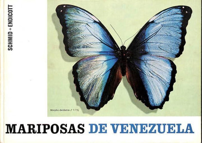Mariposas de Venezuela