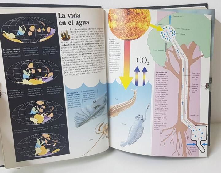 Historia Visual del Mundo (Capítulo 1- 55)