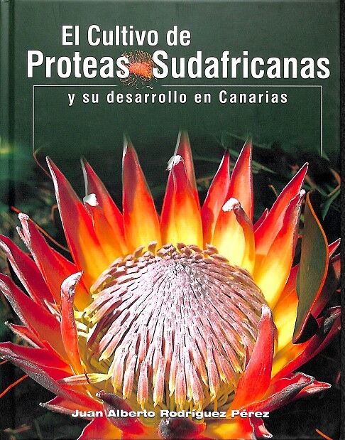 El Cultivo de Próteas Sudafricanas en Canarias