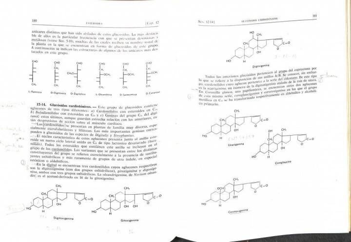 Tratado de Bioquímica. Vol. 1