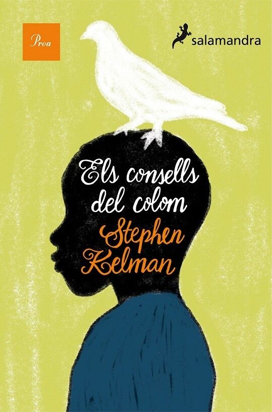 Els Consells del Colom