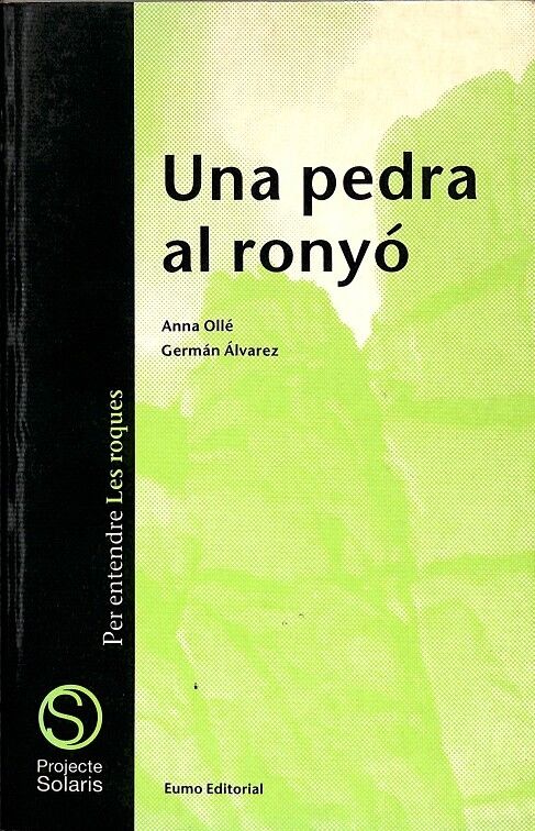 Una Pedra Al Ronyó