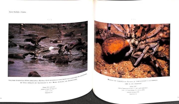 Fotosfera: Primera Mostra de Fotògrafs Naturalistes Professionals a Catalunya .